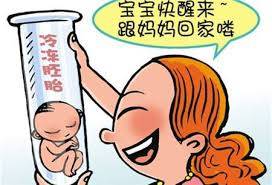单身同志供卵公司